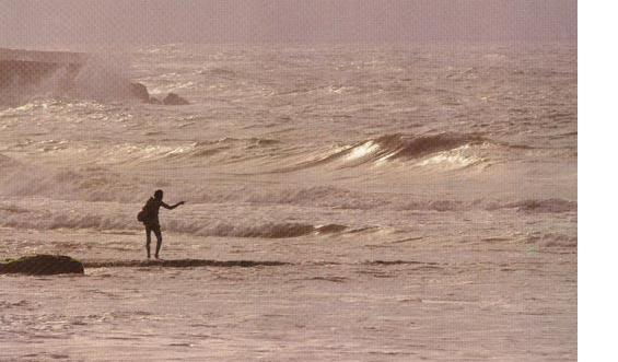 oman_coast.JPG