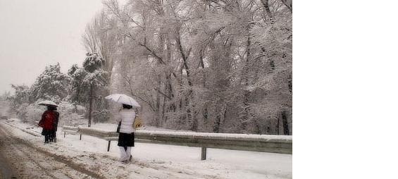 winter.JPG